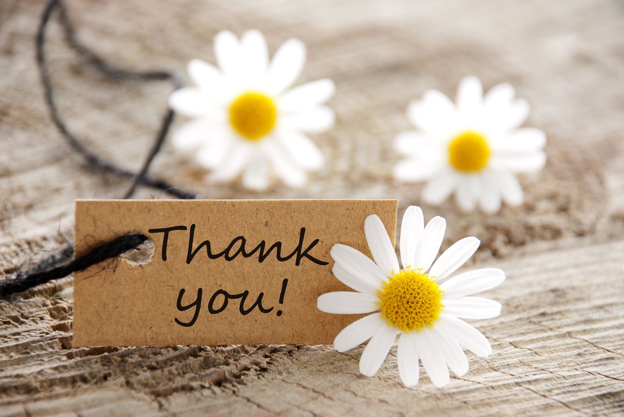 29 Ways To Use Gratitude To Grow Your Business And Make More Money