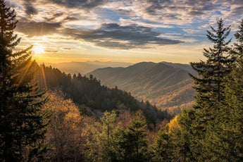 Gratitude Adventure In Smoky Mountain National Park - Full pay